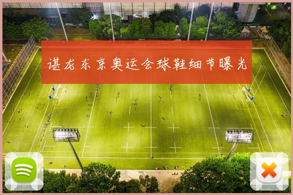 谌龙东京奥运会球鞋细节曝光