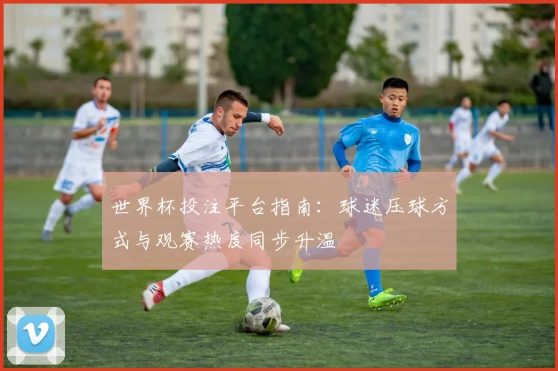 世界杯投注平台指南：球迷压球方式与观赛热度同步升温