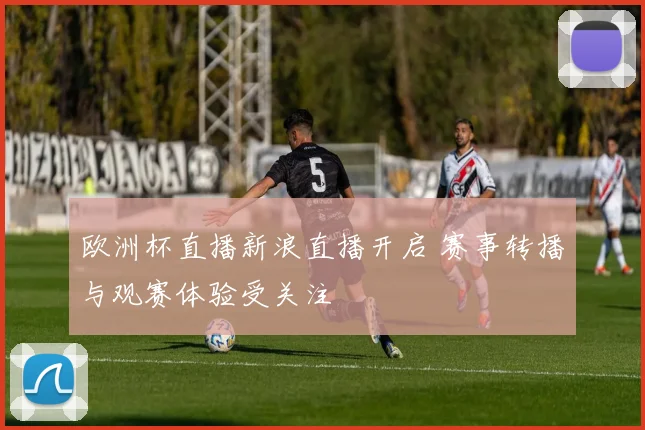 欧洲杯直播新浪直播开启 赛事转播与观赛体验受关注