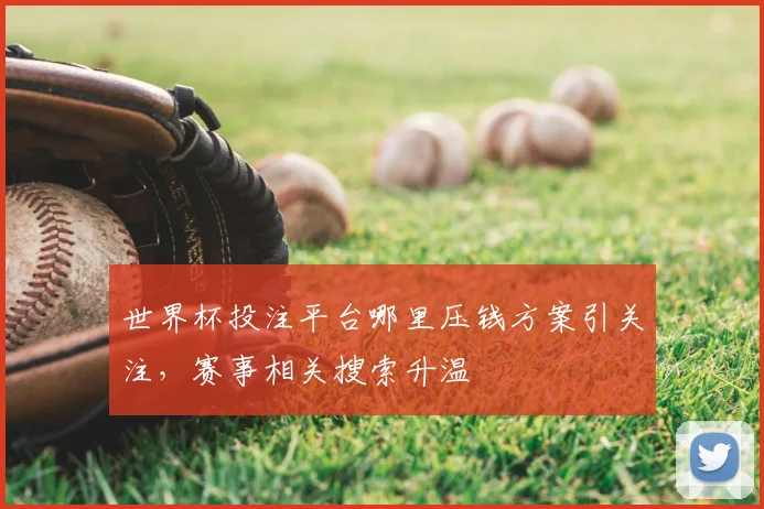 世界杯投注平台哪里压钱方案引关注，赛事相关搜索升温