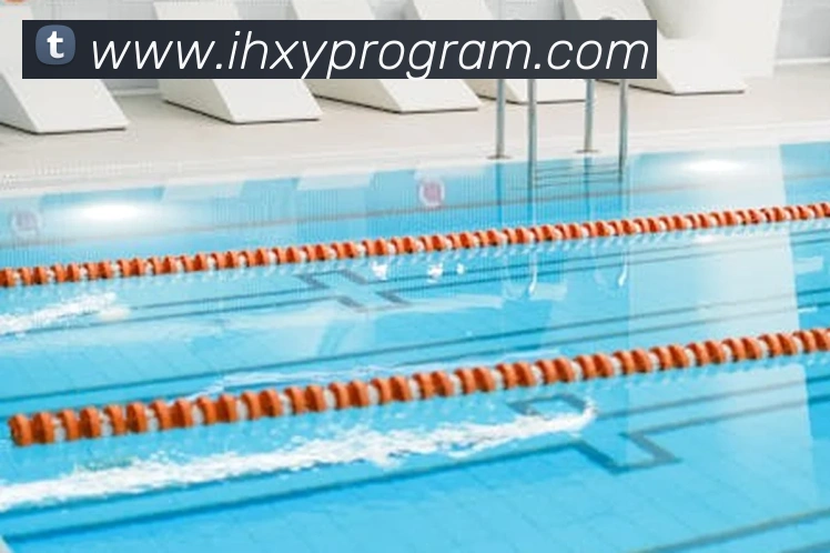 mksports在线登录平台生态图